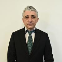 Ilie Victor Florea, Președintele CNP Craiova