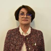 Iosif Mariana, Președintele CNP Constanța